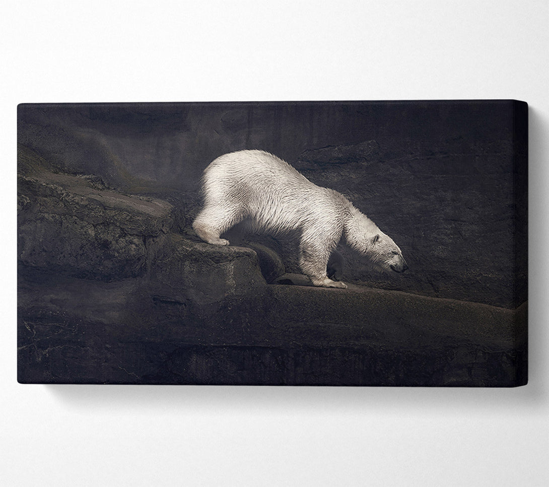  A Canvas Print of Polar Bear Hunt Canvas Wall Art