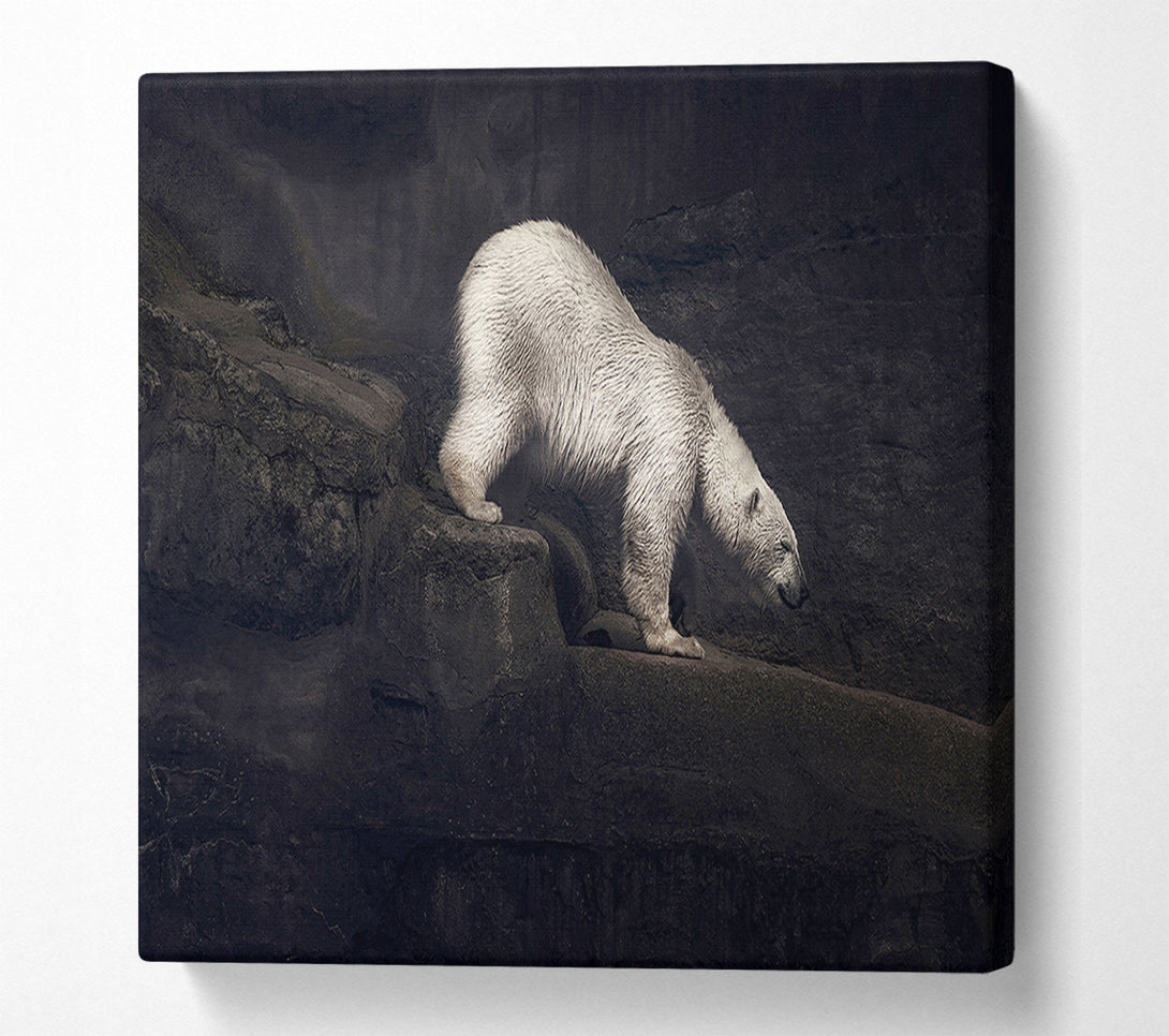  A Canvas Print of Polar Bear Hunt Canvas Wall Art