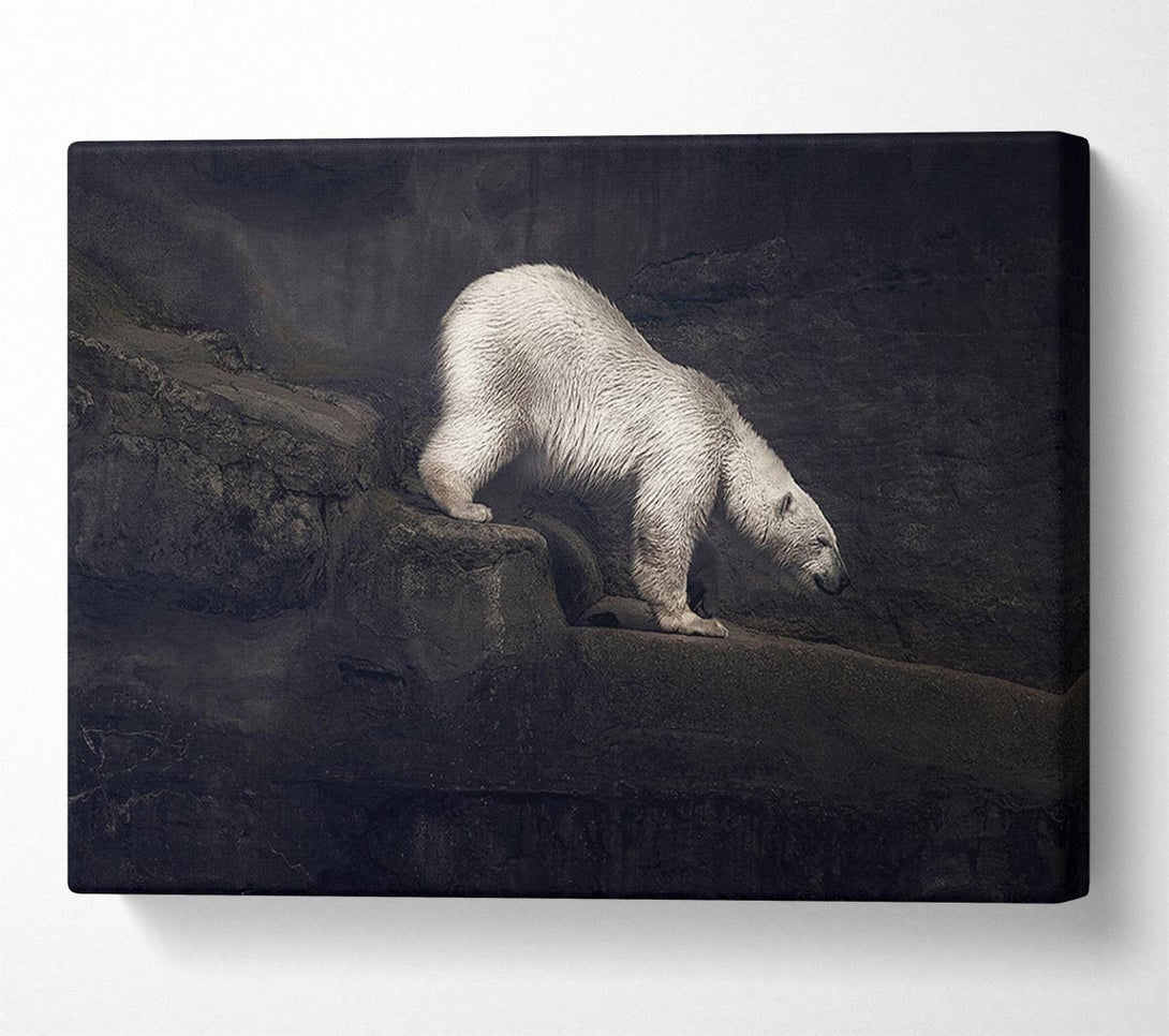  A Canvas Print of Polar Bear Hunt Canvas Wall Art
