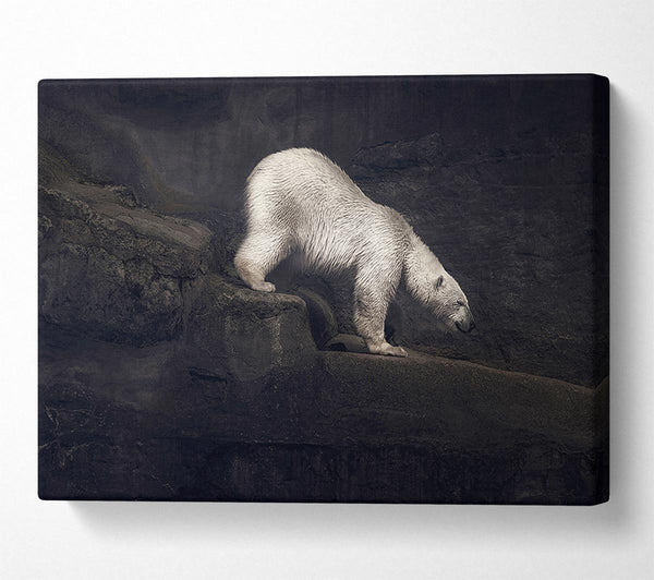  A Canvas Print of Polar Bear Hunt Canvas Wall Art