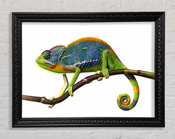 Chameleon Branch Framed Print