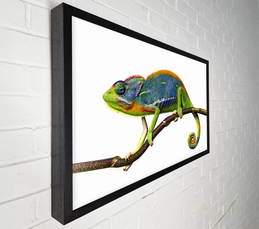  A Canvas Print of Chameleon Branch Canvas Wall Art