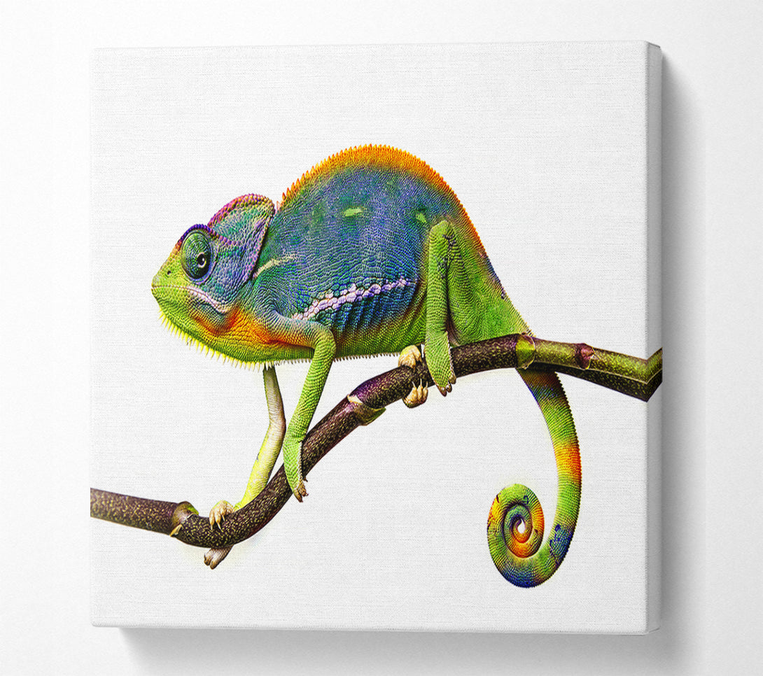  A Canvas Print of Chameleon Branch Canvas Wall Art