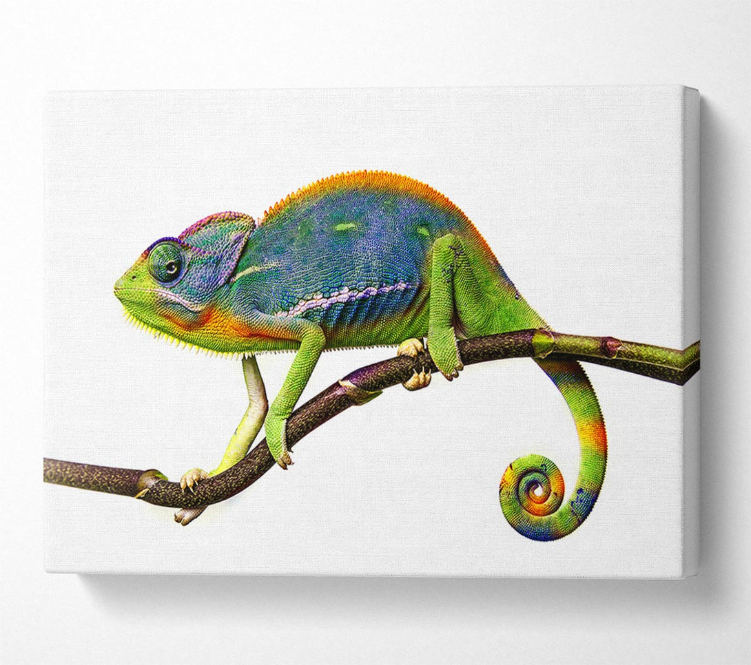  A Canvas Print of Chameleon Branch Canvas Wall Art