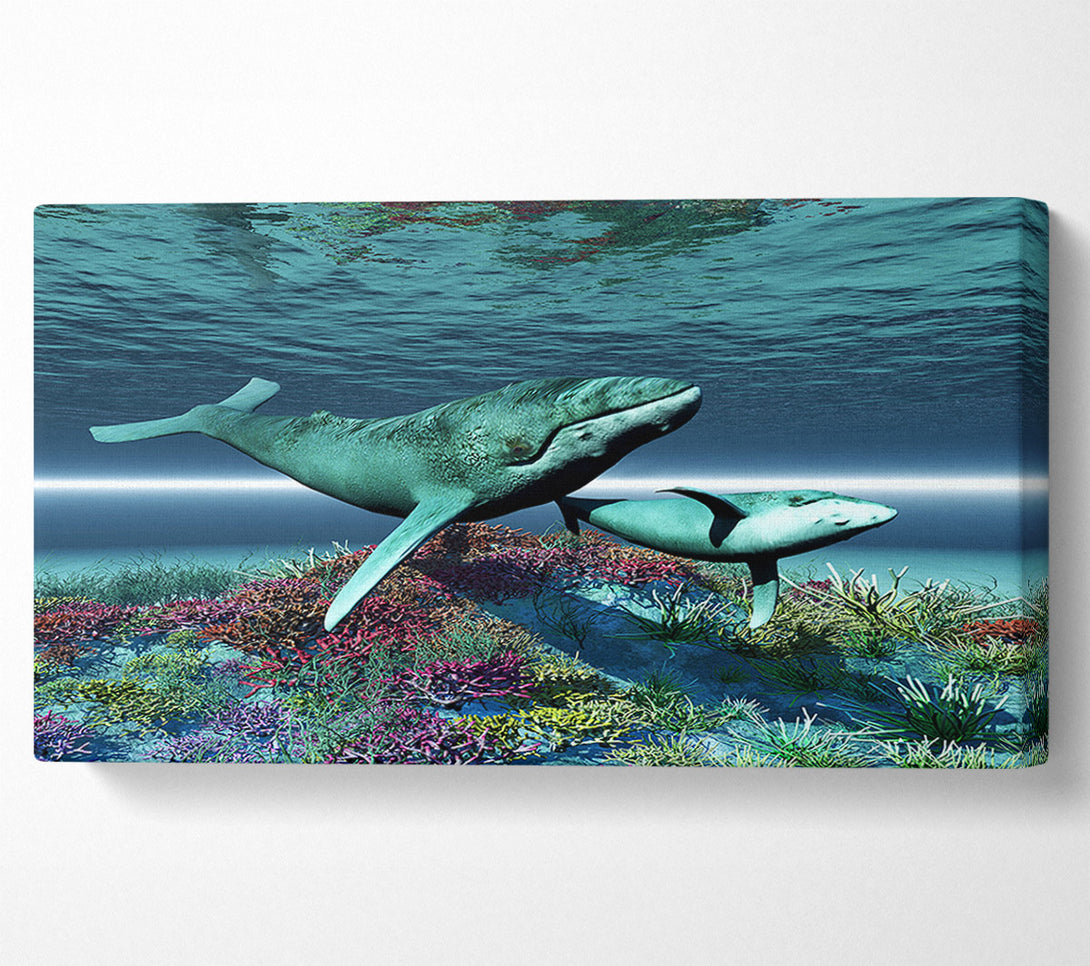  A Canvas Print of Whale Family Canvas Wall Art
