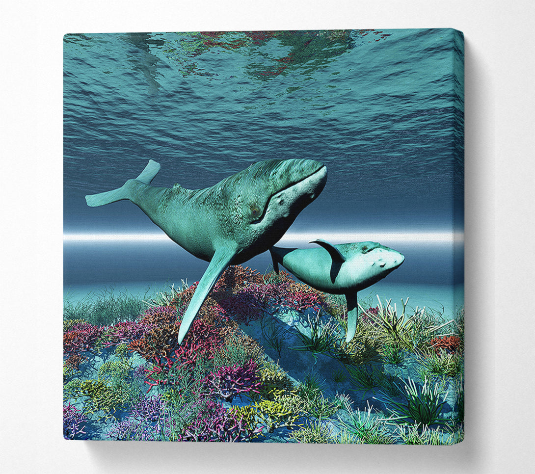 A Canvas Print of Whale Family Canvas Wall Art