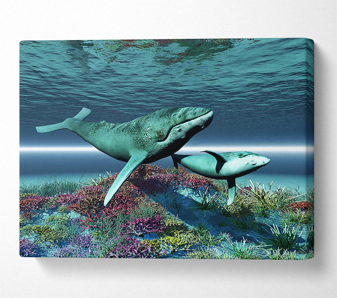  A Canvas Print of Whale Family Canvas Wall Art