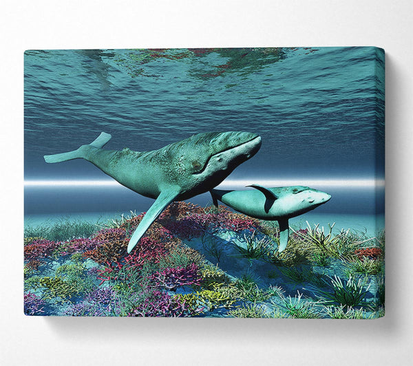  A Canvas Print of Whale Family Canvas Wall Art
