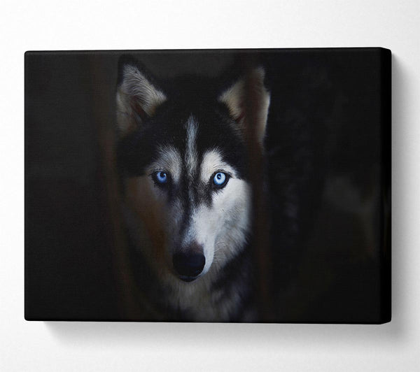  A Canvas Print of Husky Dog Wolf Face Canvas Wall Art