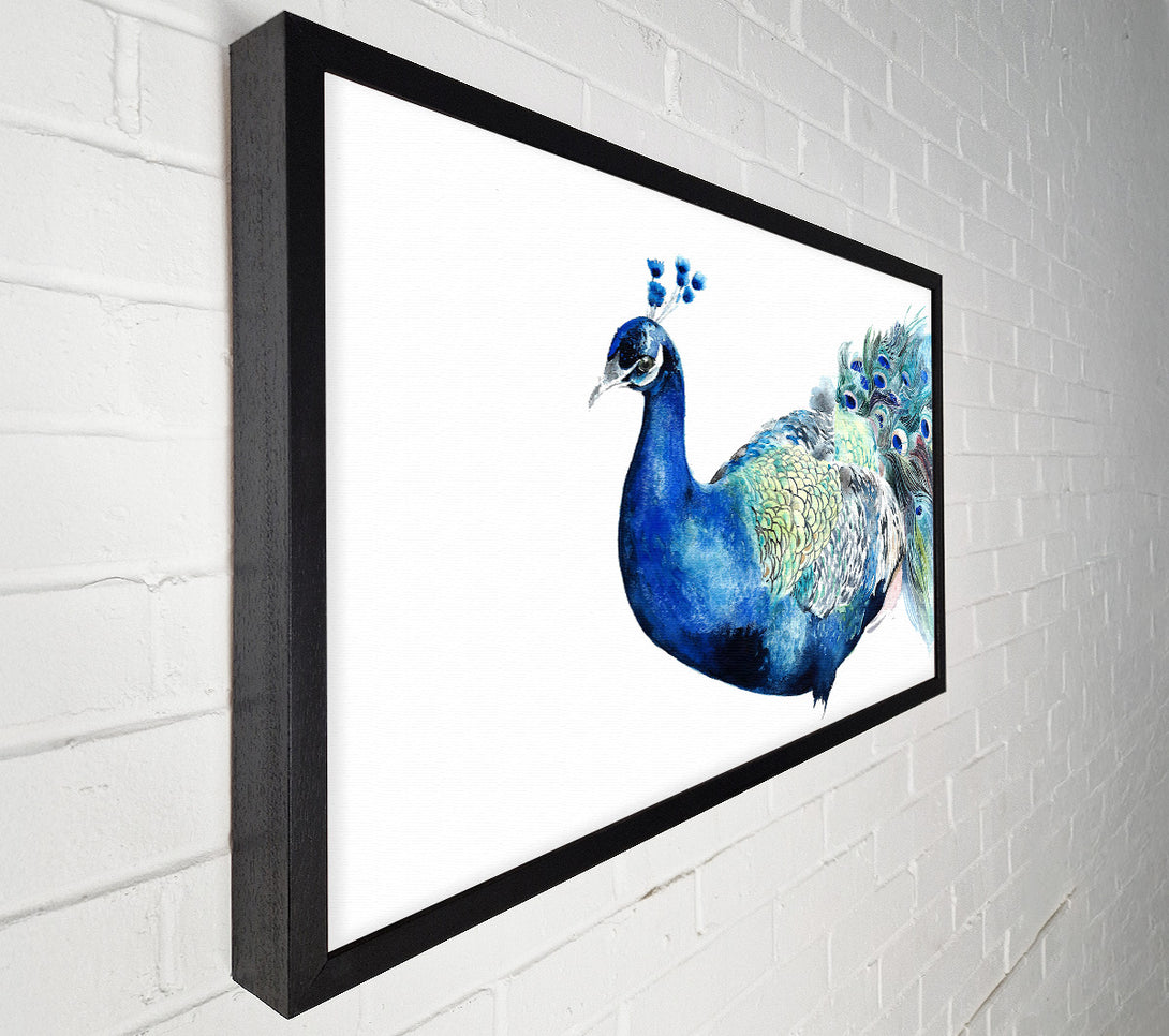  A Canvas Print of Peacock Blues Canvas Print