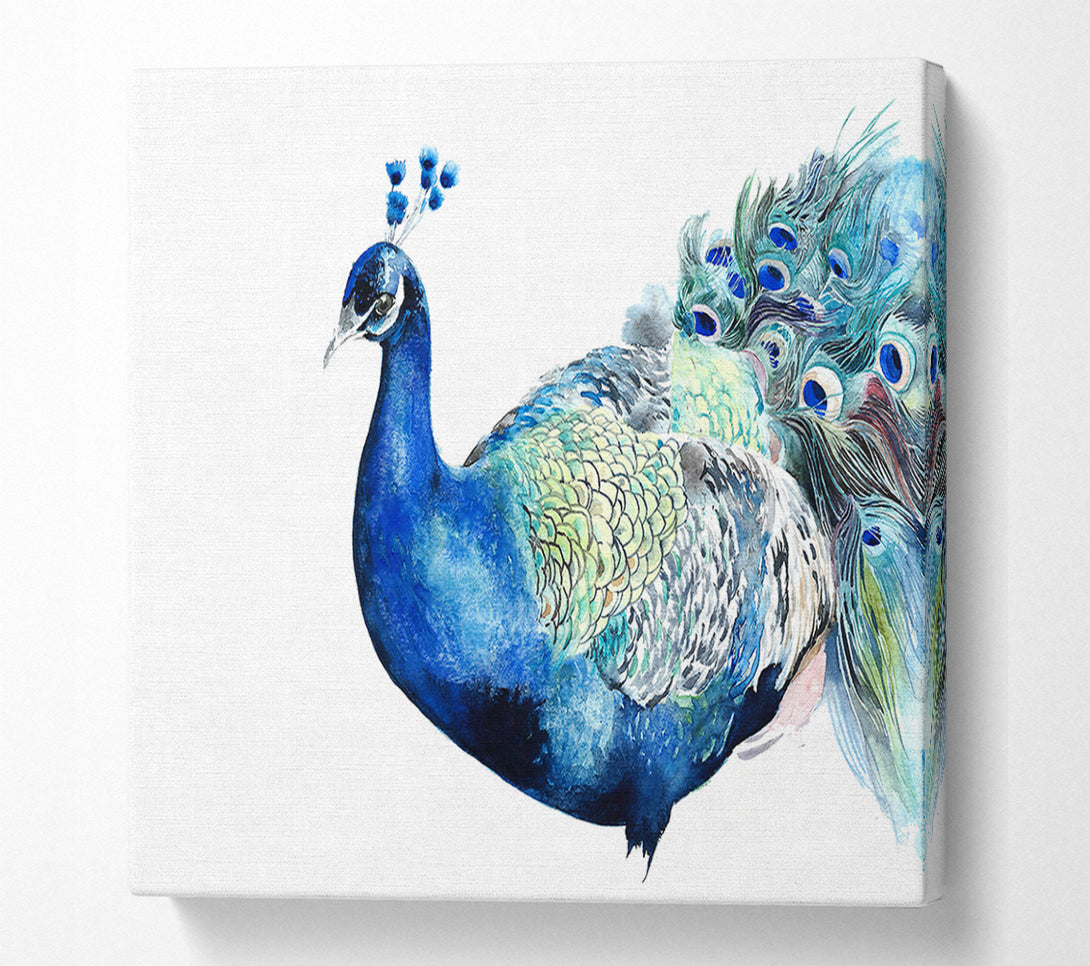  A Canvas Print of Peacock Blues Canvas Print