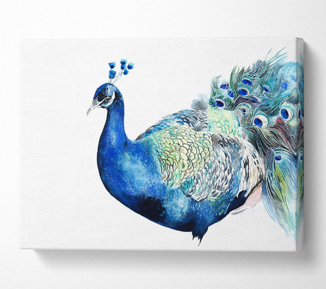  A Canvas Print of Peacock Blues Canvas Print