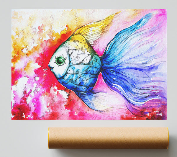 Multicoloured Fish Poster