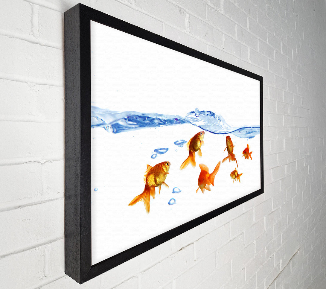  A Canvas Print of Goldfish Wave Canvas Wall Art