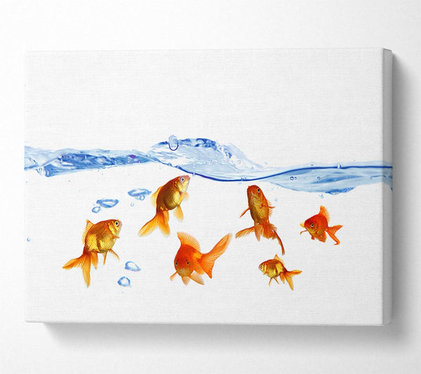  A Canvas Print of Goldfish Wave Canvas Wall Art
