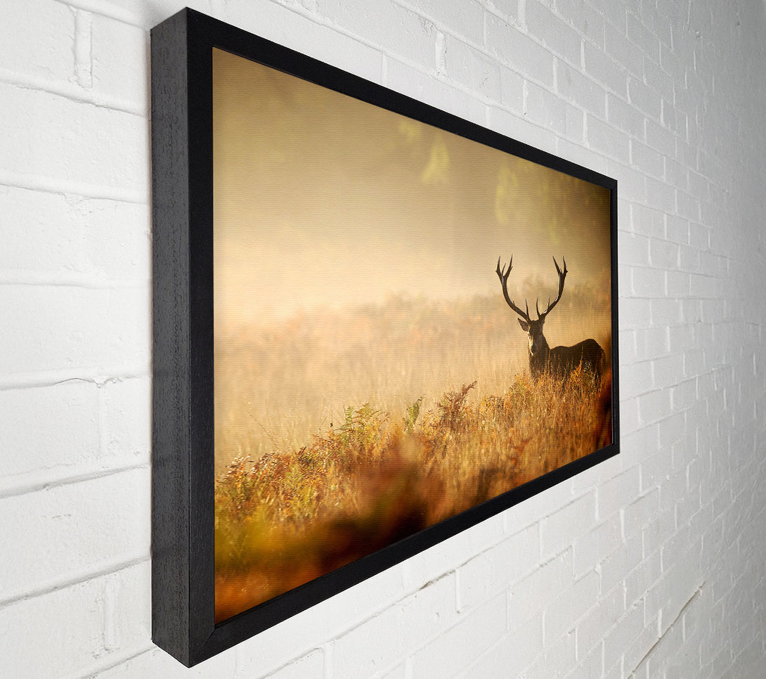  A Canvas Print of Stag Deer Sunlight Canvas Art