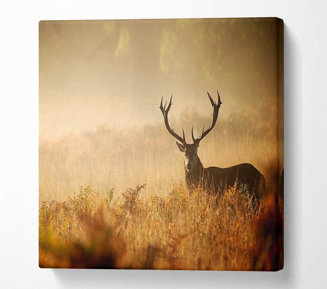  A Canvas Print of Stag Deer Sunlight Canvas Art
