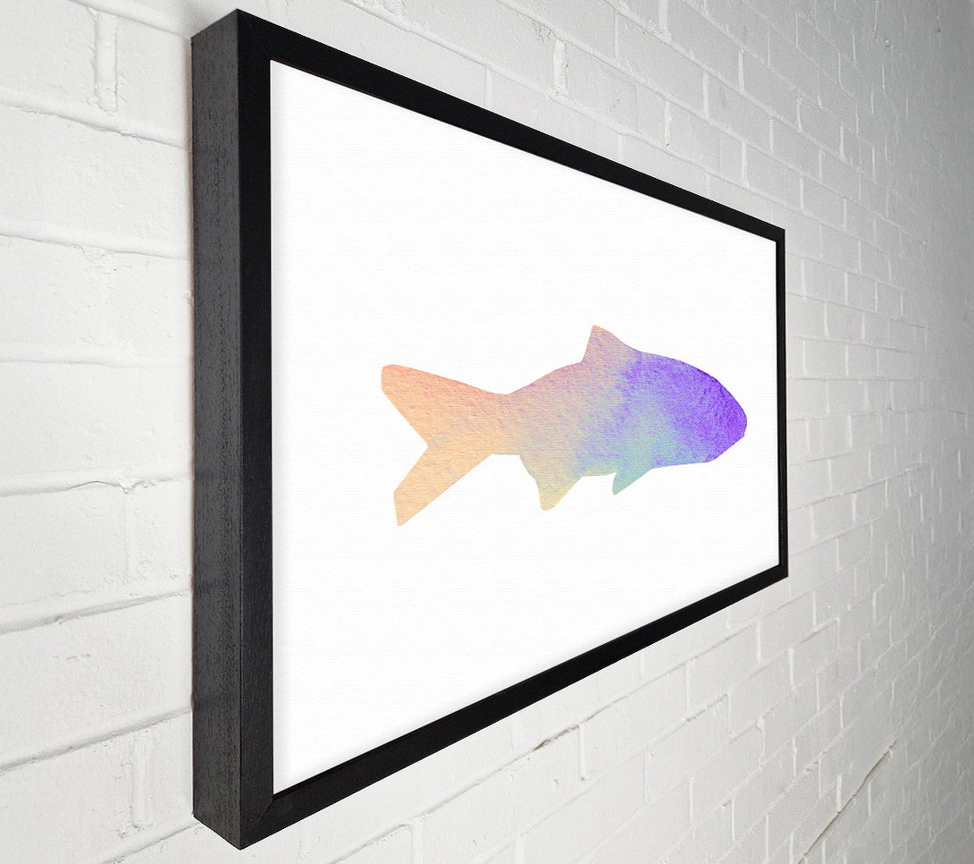  A Canvas Print of Rainbow Fish Canvas Print
