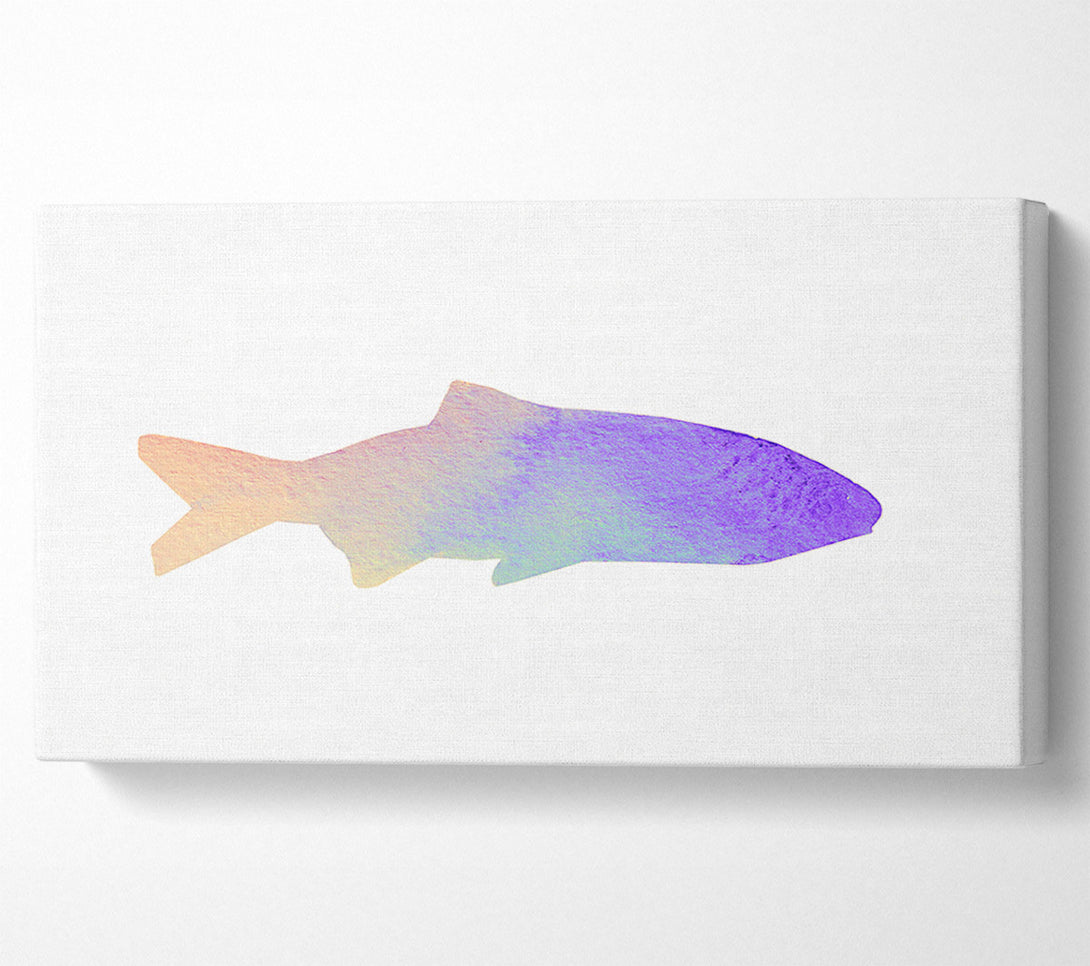 A Canvas Print of Rainbow Fish Canvas Print