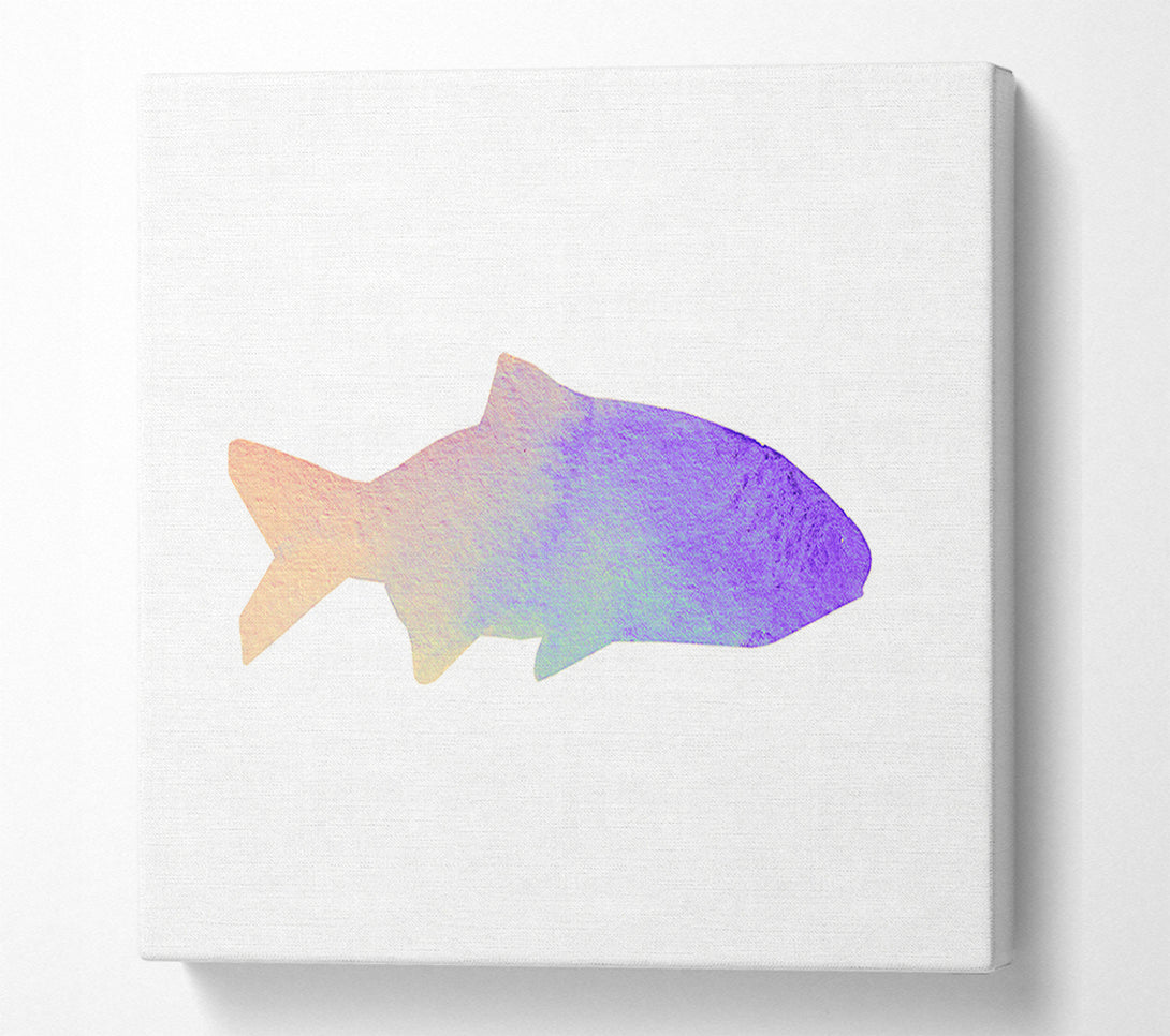  A Canvas Print of Rainbow Fish Canvas Print