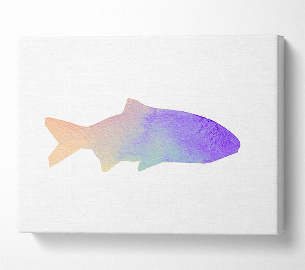  A Canvas Print of Rainbow Fish Canvas Print