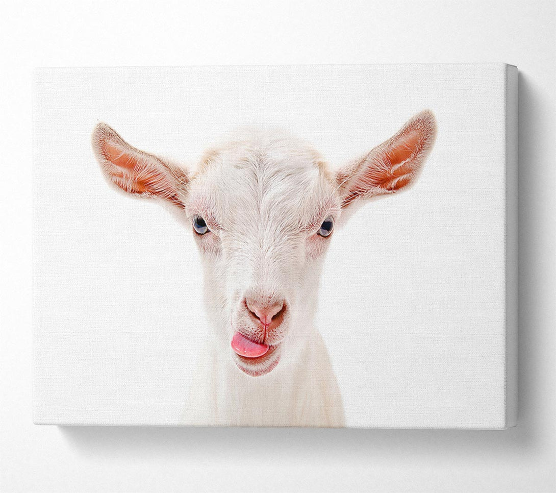  A Canvas Print of Goating Around Canvas Art