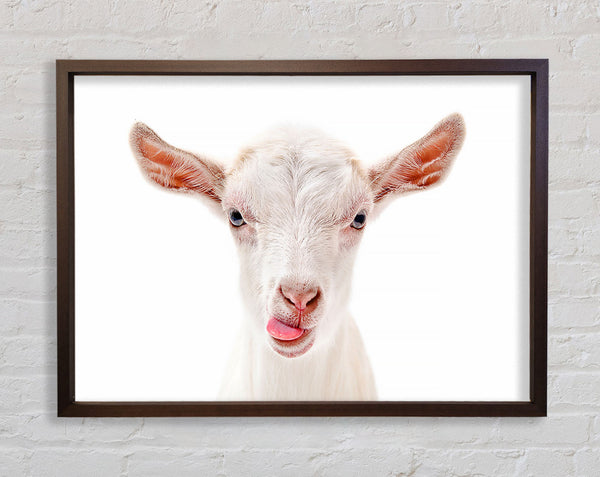 Goating Around Framed Print