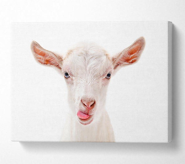  A Canvas Print of Goating Around Canvas Art