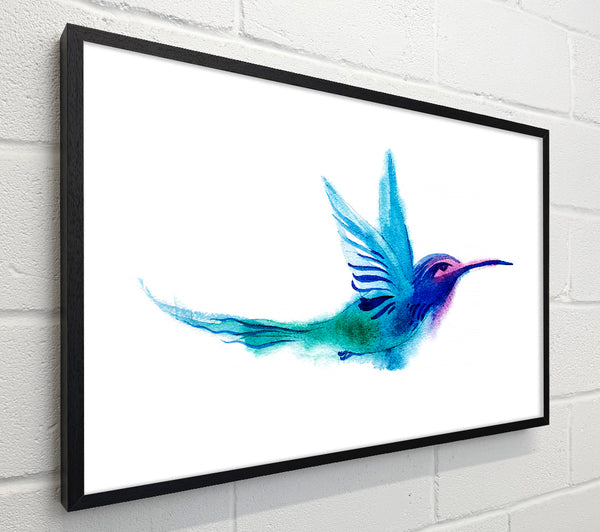 Elegant Rainbow Bird