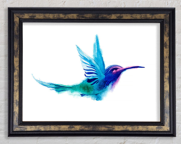 Elegant Rainbow Bird Framed Print