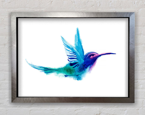 Elegant Rainbow Bird Framed Print