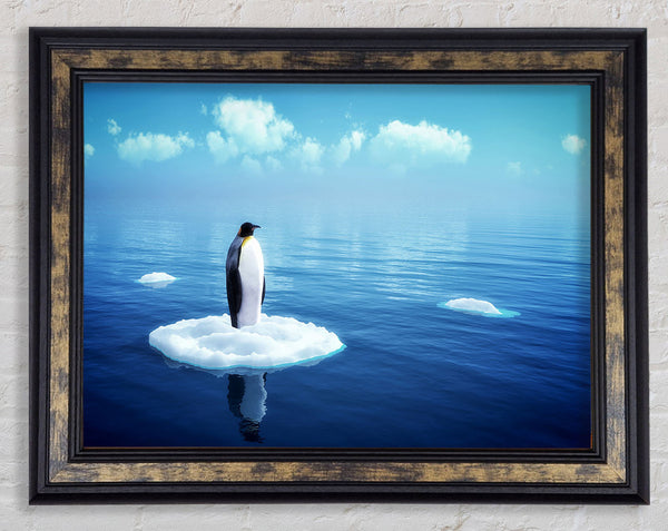 Penguin Drift Framed Print