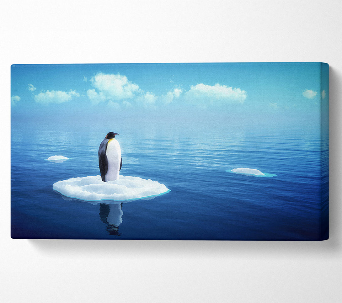  A Canvas Print of Penguin Drift Canvas Wall Art