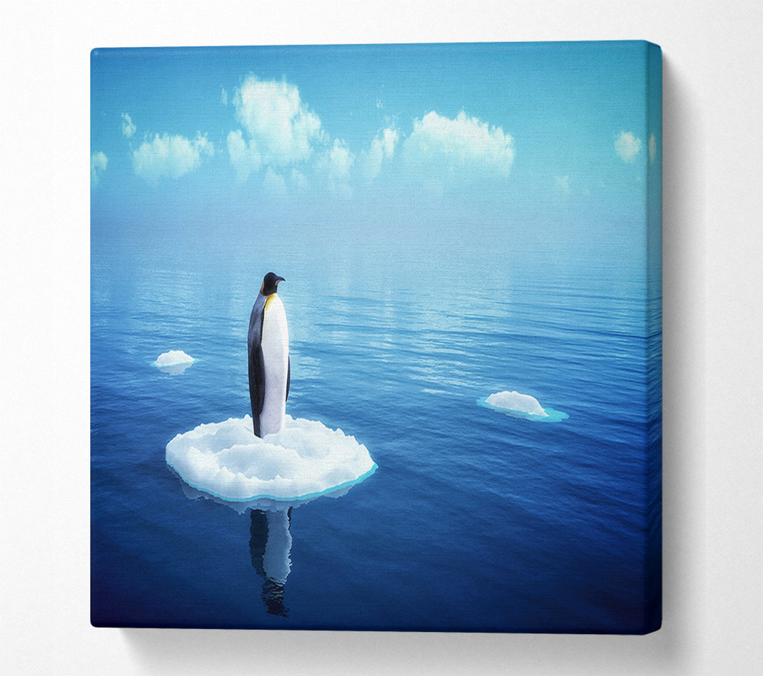  A Canvas Print of Penguin Drift Canvas Wall Art