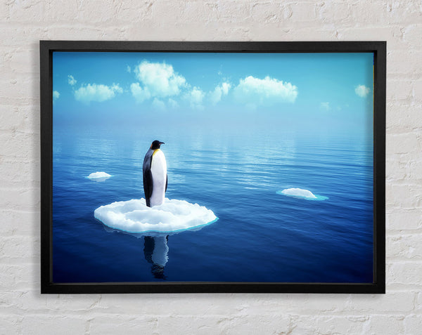 Penguin Drift Framed Print