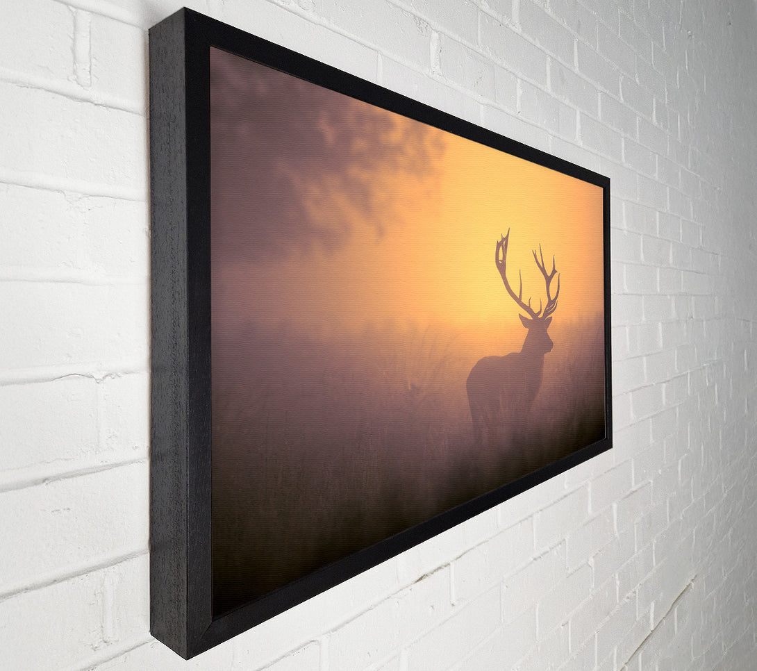  A Canvas Print of Sunset Stag Canvas Print
