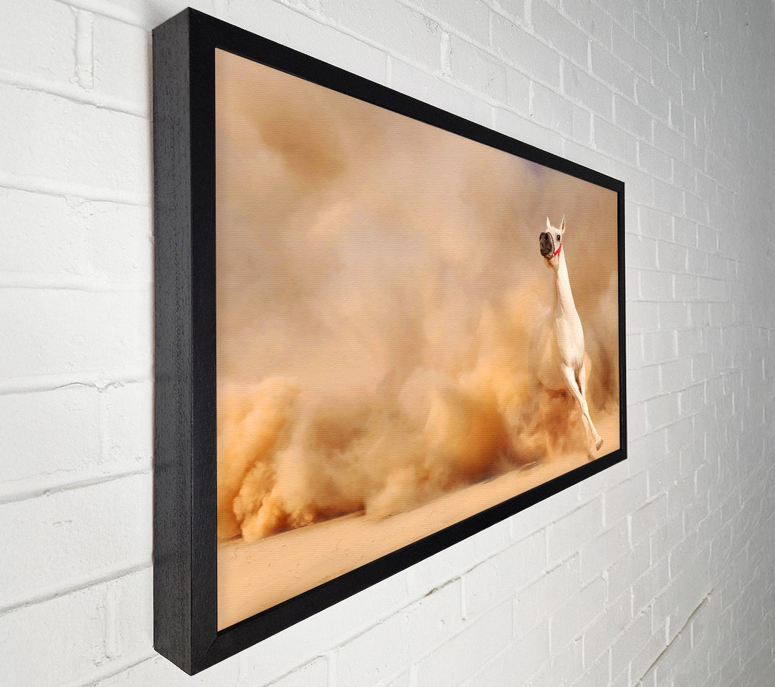  A Canvas Print of White Horse Beauty Canvas Wall Art