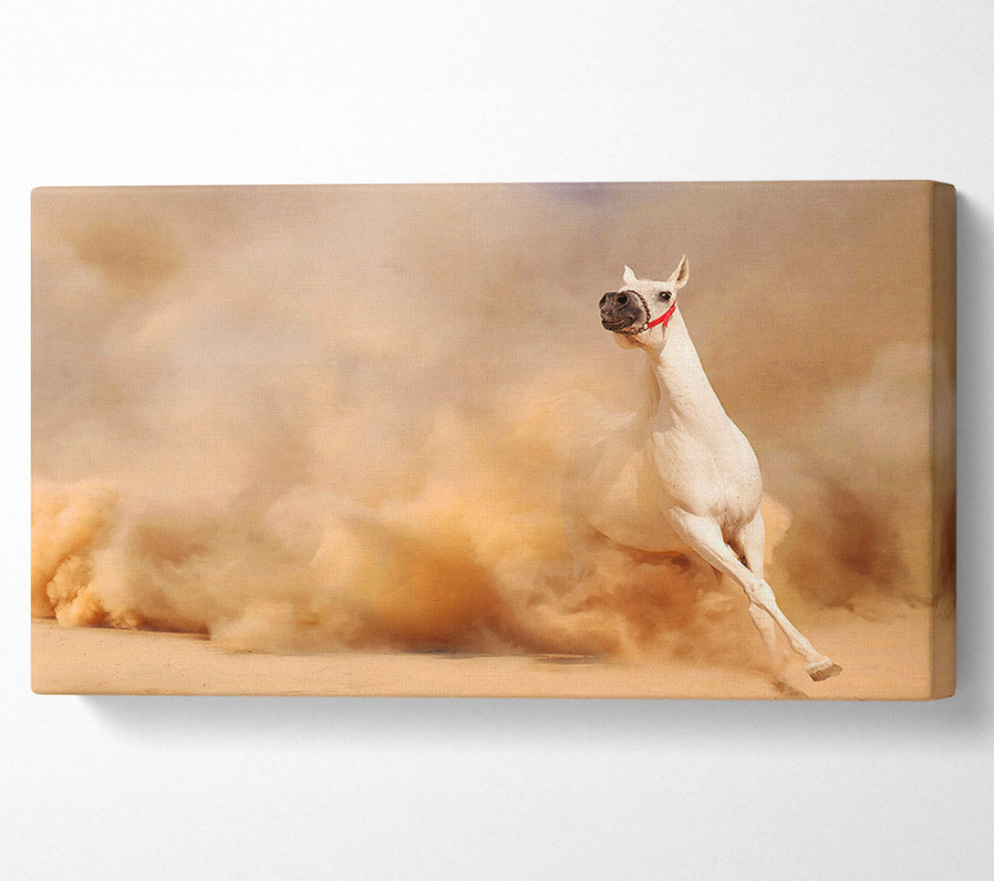  A Canvas Print of White Horse Beauty Canvas Wall Art
