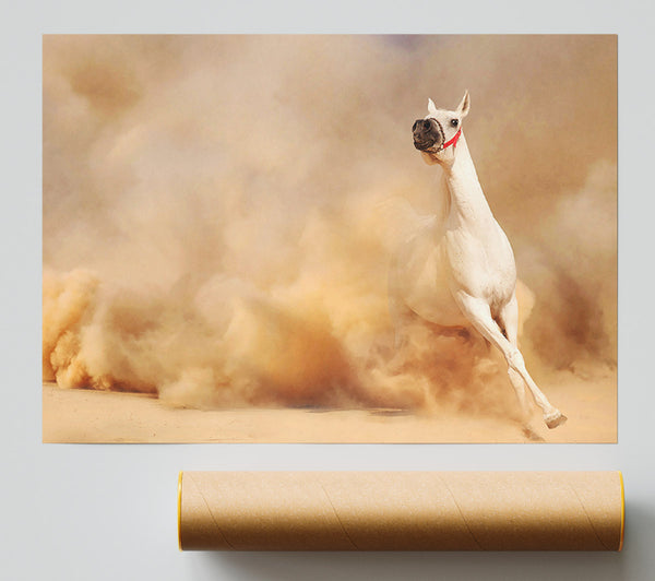 White Horse Beauty Poster