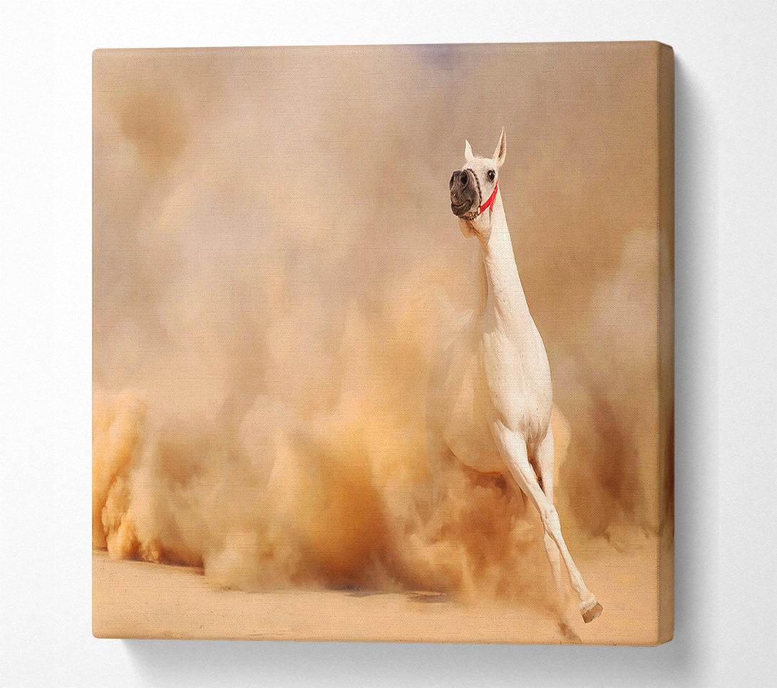  A Canvas Print of White Horse Beauty Canvas Wall Art