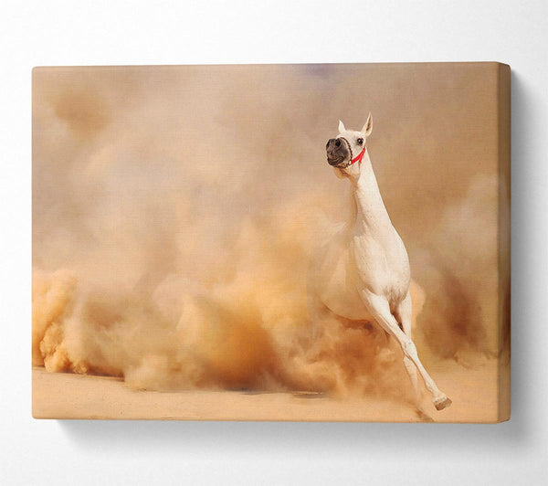  A Canvas Print of White Horse Beauty Canvas Wall Art