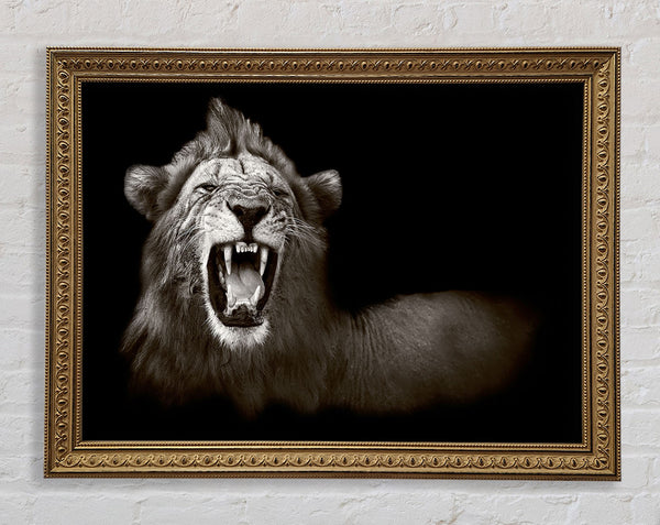 Lion Roar Framed Print
