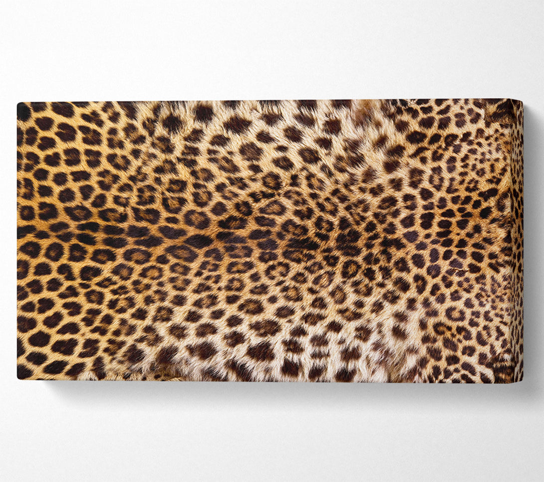  A Canvas Print of Cheetah Markings Canvas Wall Art