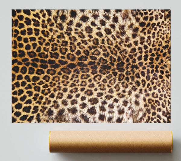 Cheetah Markings Giclee Print