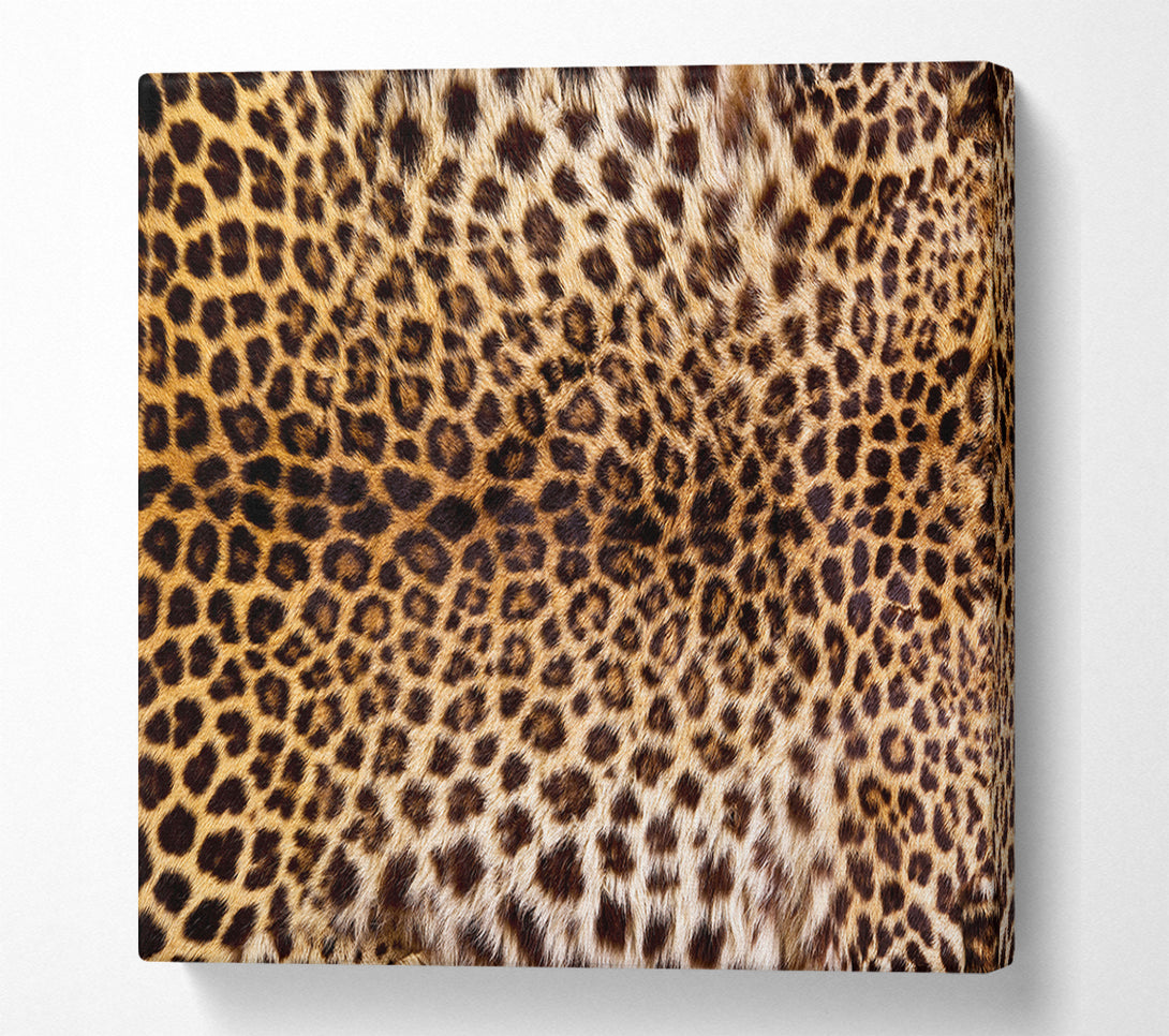  A Canvas Print of Cheetah Markings Canvas Wall Art