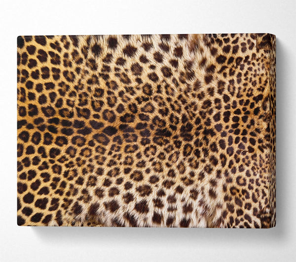 A Canvas Print of Cheetah Markings Canvas Wall Art