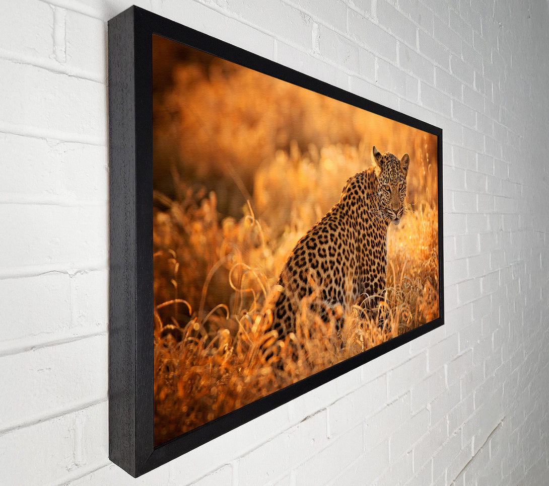  A Canvas Print of Leopard Sunset Canvas Art
