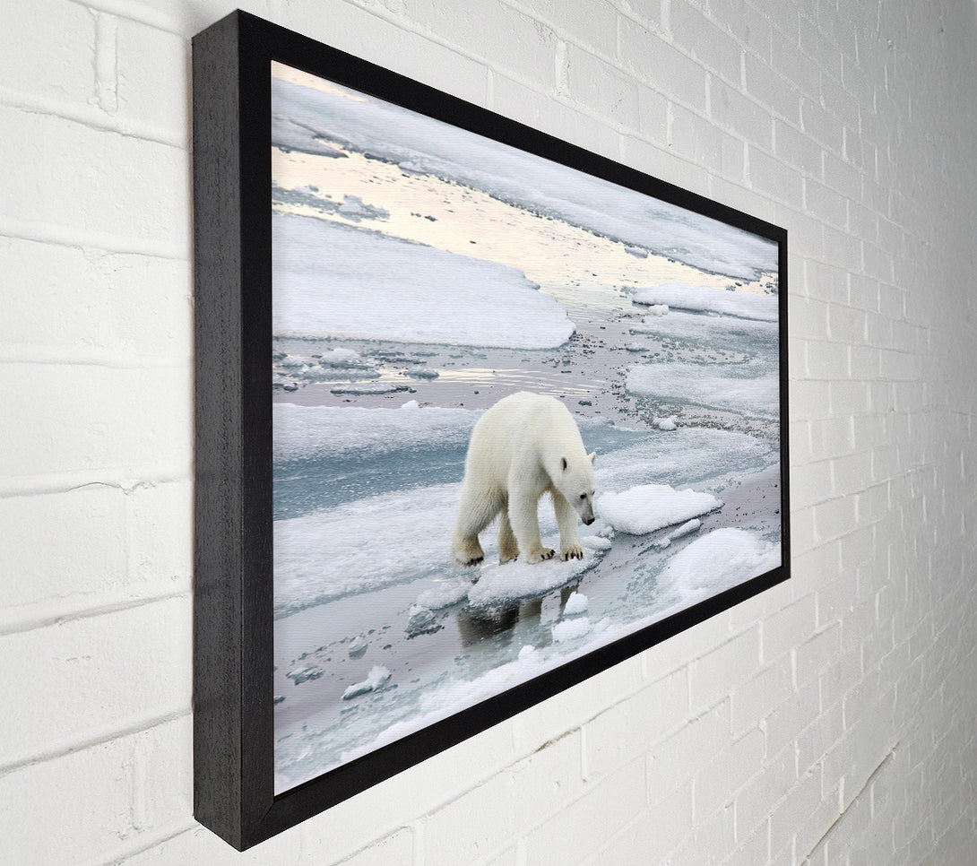  A Canvas Print of Polar Bear Iceburg Canvas Print