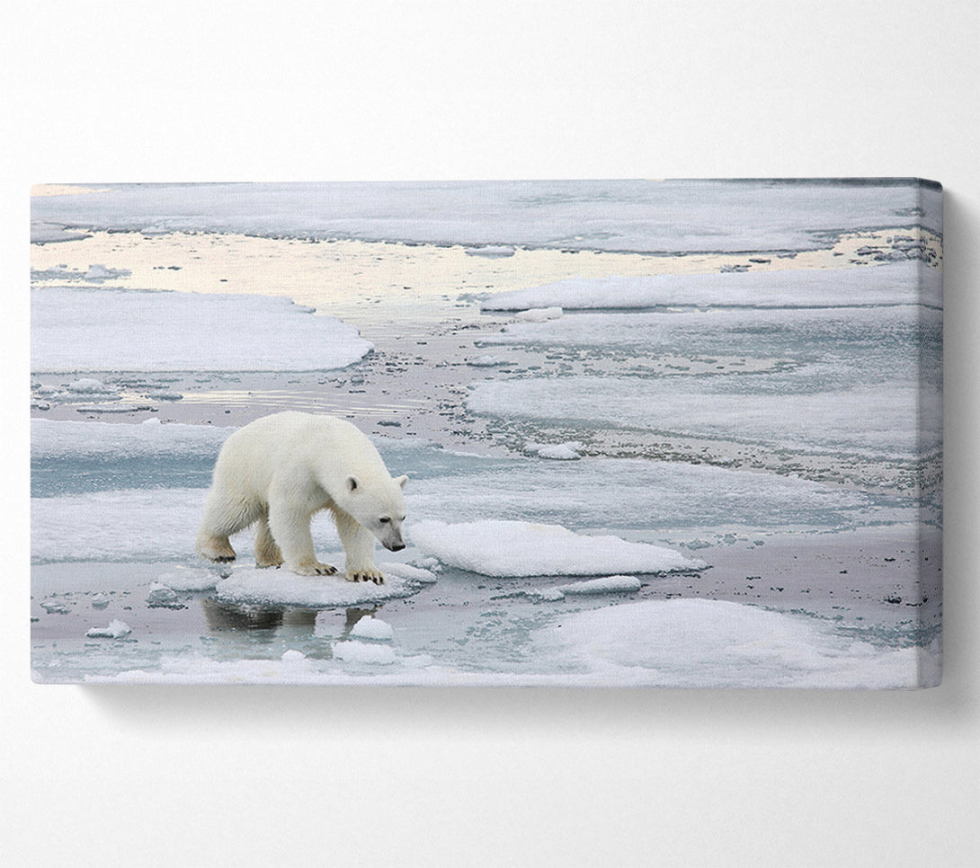  A Canvas Print of Polar Bear Iceburg Canvas Print