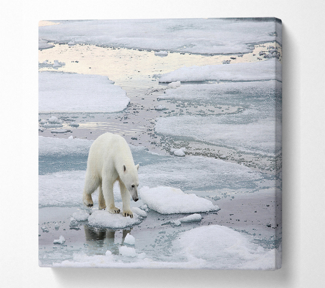  A Canvas Print of Polar Bear Iceburg Canvas Print